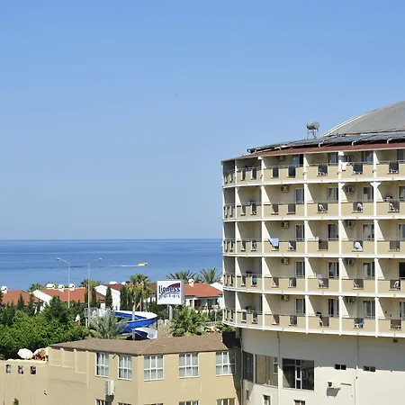 Hotel Lioness